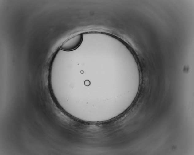 X0000101401504200807280949