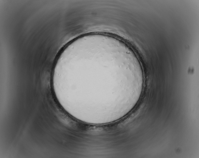 X0000101401505200807280949