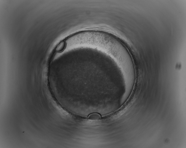 X0000101401506200807280949