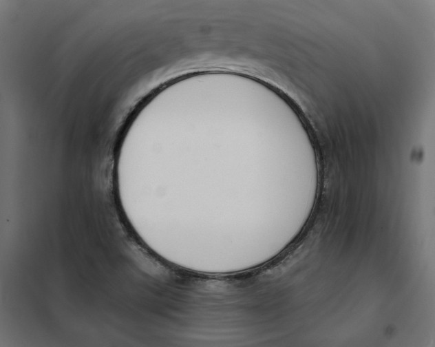 X0000101401507200807280949