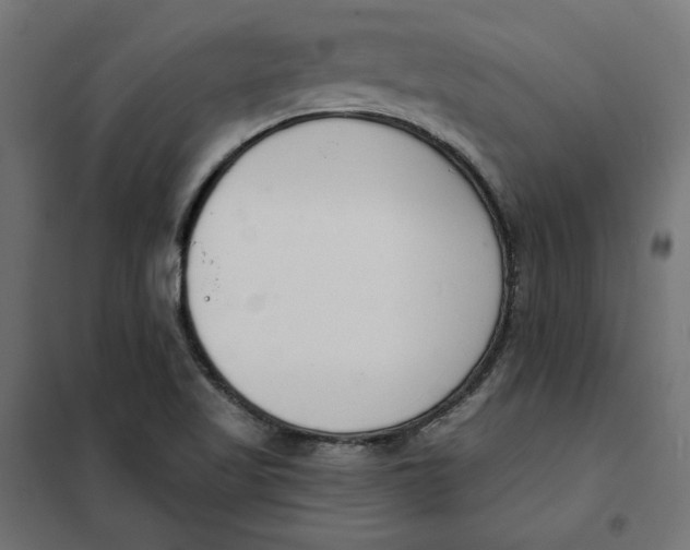 X0000101401509200807280949