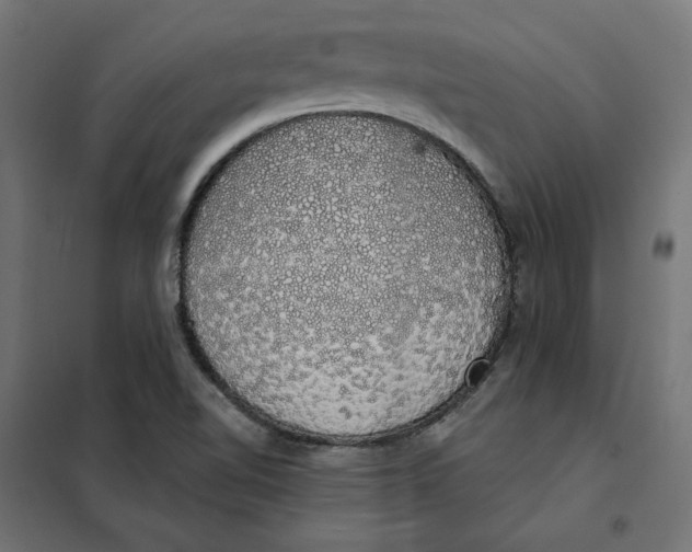 X0000101401510200807280949