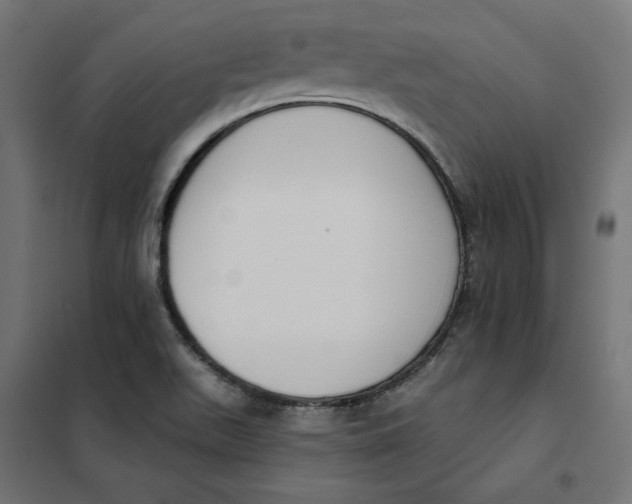 X0000101401511200807280949