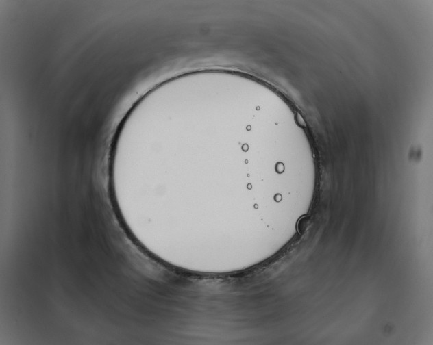 X0000101401512200807280949