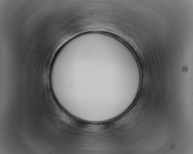 X0000101401513200807280949