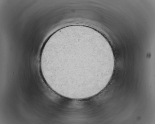 X0000101401514200807280949