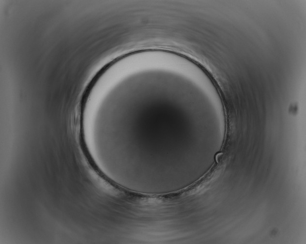 X0000101401515200807280949