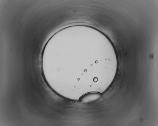 X0000101401516200807280949