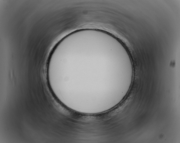 X0000101401517200807280949