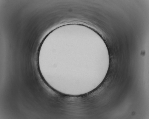 X0000101401518200807280949