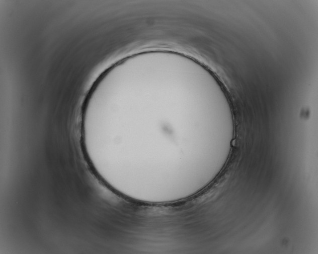 X0000101401519200807280949