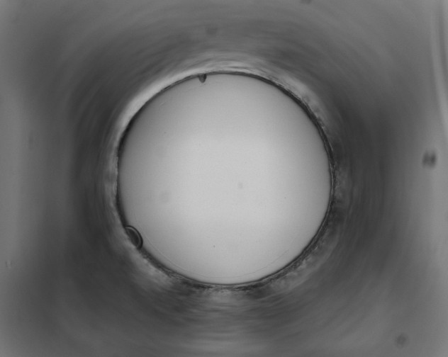 X0000101401520200807280949