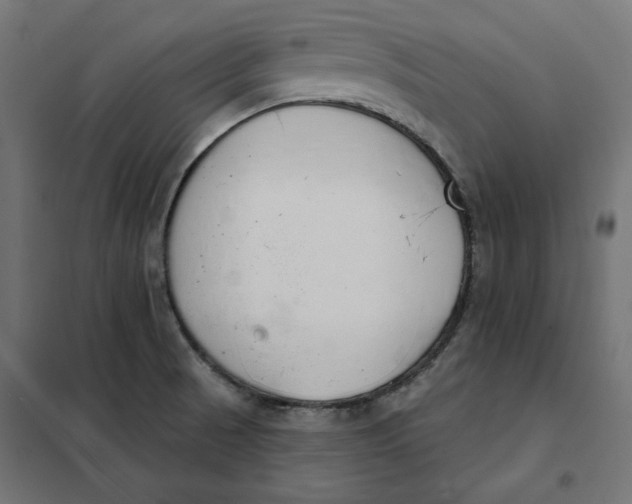 X0000101401521200807280949