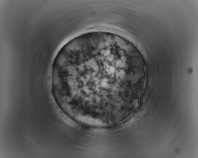 X0000101401522200807280949