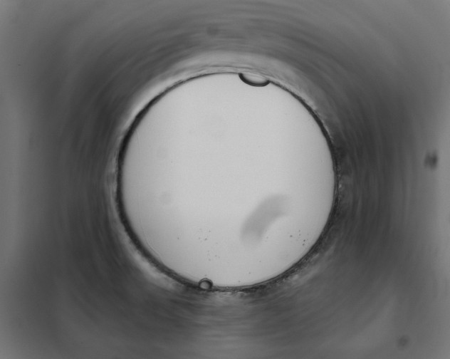 X0000101401523200807280949