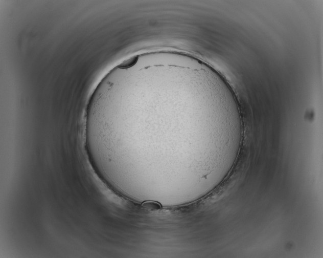 X0000101401524200807280949