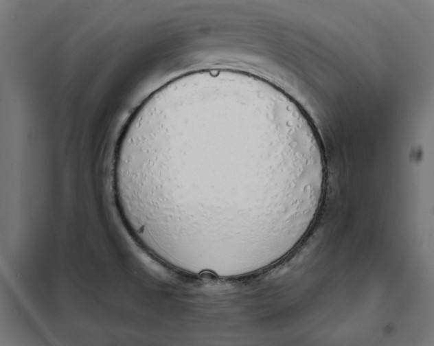 X0000101401525200807280949