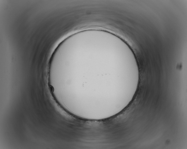 X0000101401526200807280949