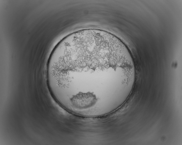 X0000101401527200807280949