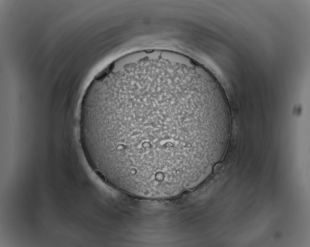 X0000101401528200807280949