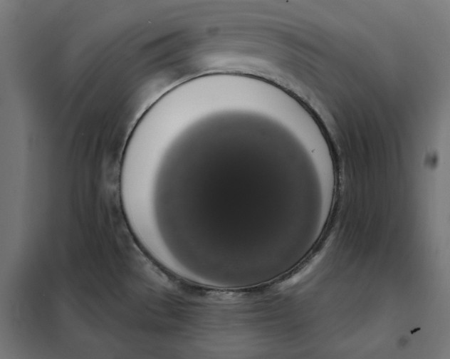 X0000101401529200807280949