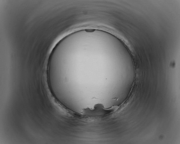 X0000101401530200807280949