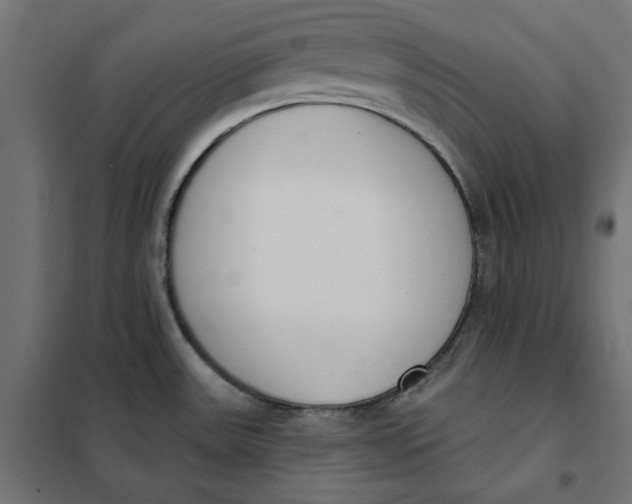 X0000101401531200807280949