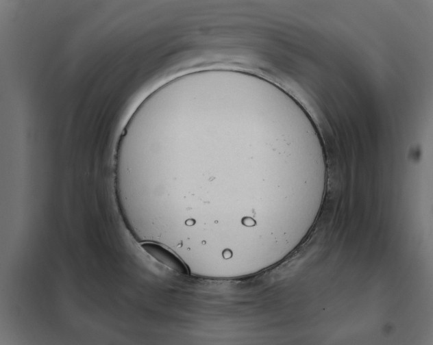 X0000101401532200807280949