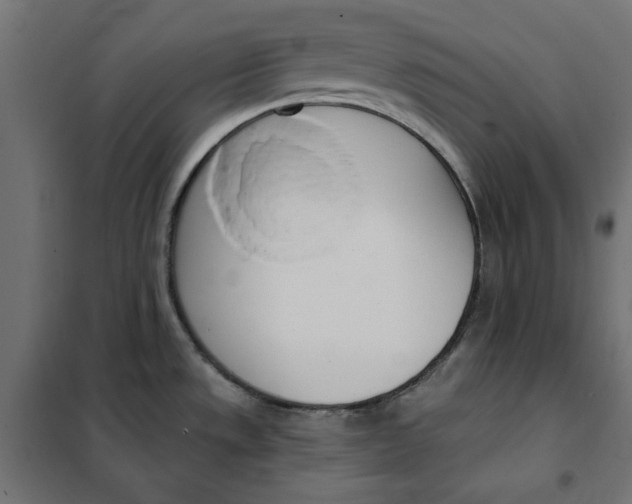 X0000101401533200807280949