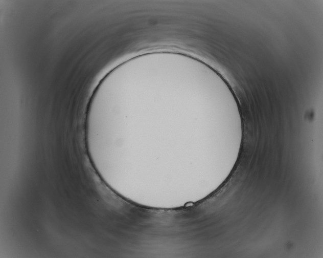 X0000101401534200807280949