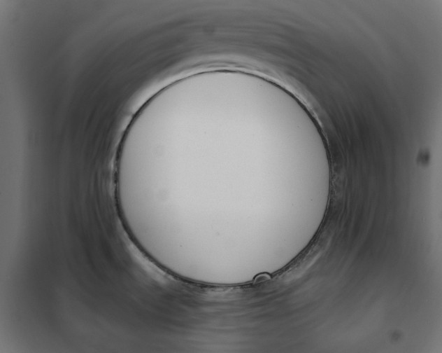 X0000101401535200807280949