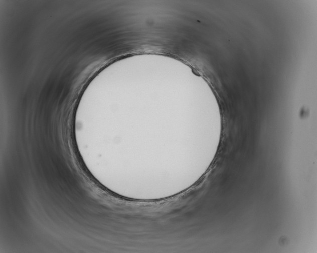 X0000101400001200808041052