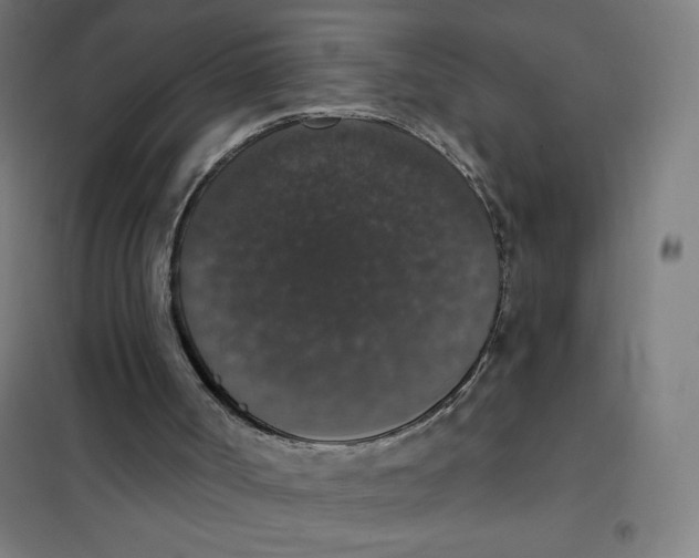 X0000101400002200808041052