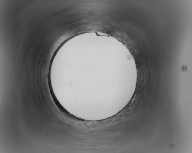 X0000101400003200808041052