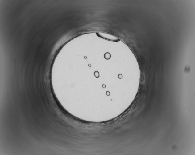 X0000101400004200808041052