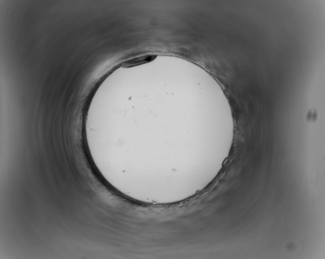 X0000101400005200808041052