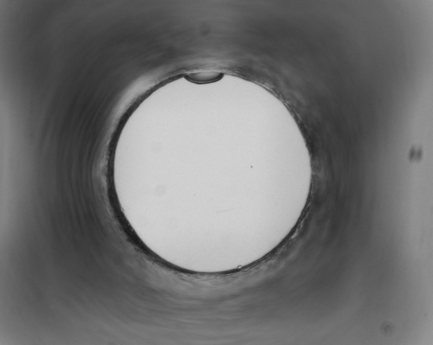 X0000101400006200808041052