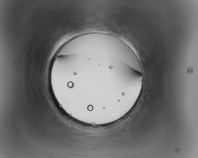 X0000101400008200808041052