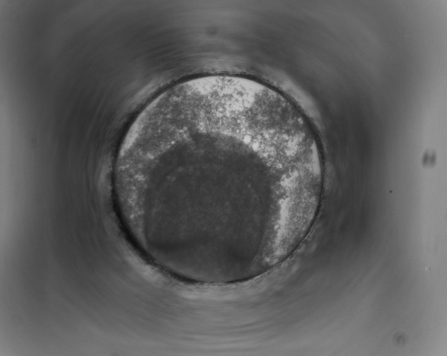 X0000101400009200808041052