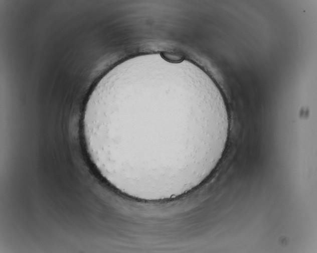 X0000101400010200808041052