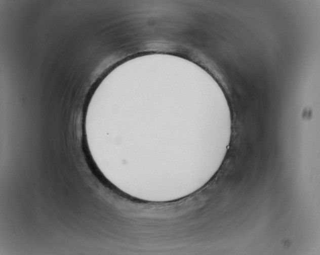 X0000101400011200808041052