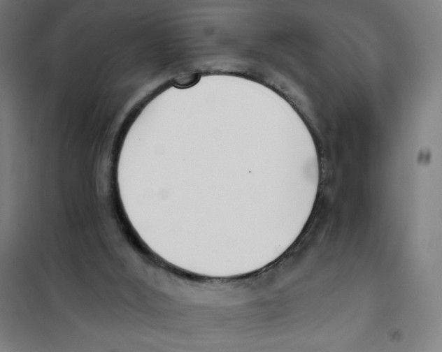 X0000101400012200808041051