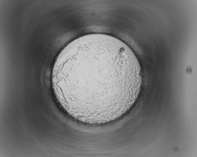 X0000101400014200808041051