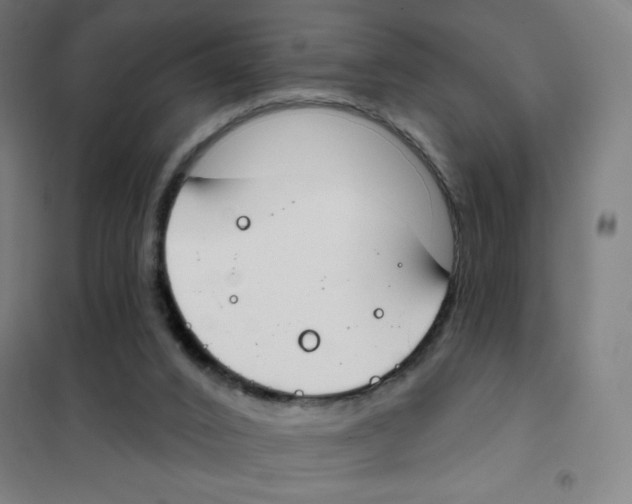 X0000101400016200808041051