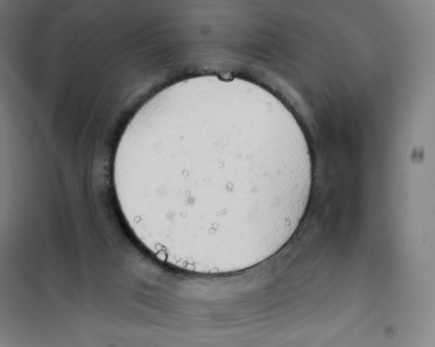 X0000101400017200808041051