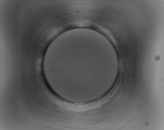 X0000101400018200808041051