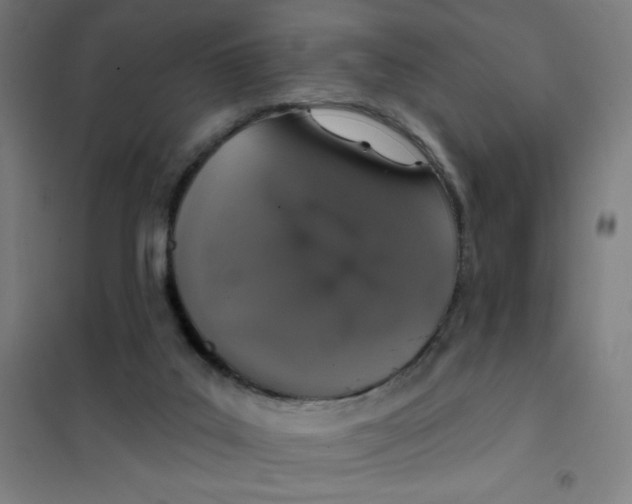 X0000101400019200808041051