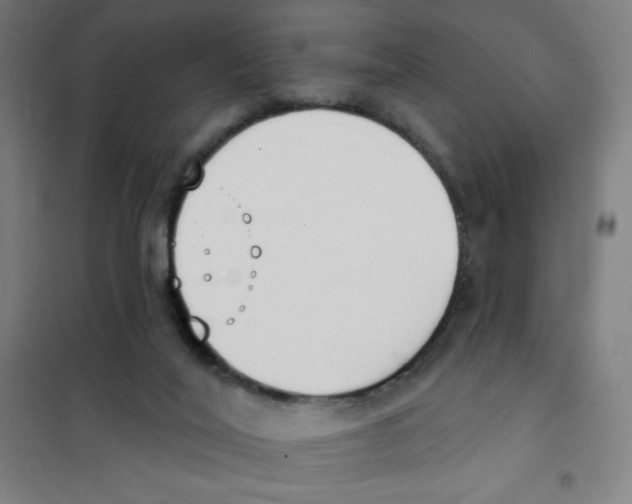 X0000101400020200808041051