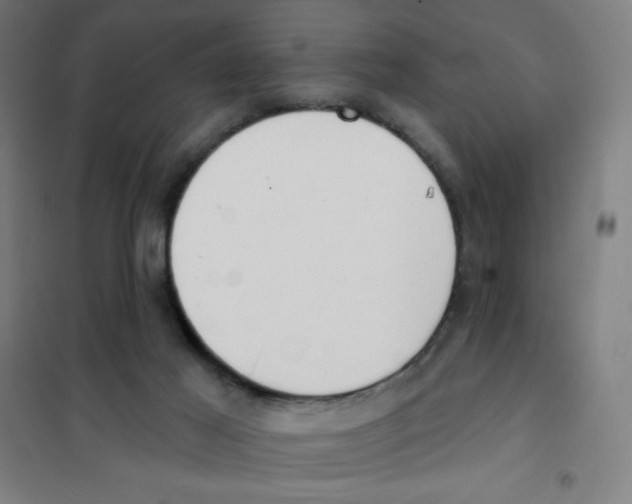 X0000101400021200808041051