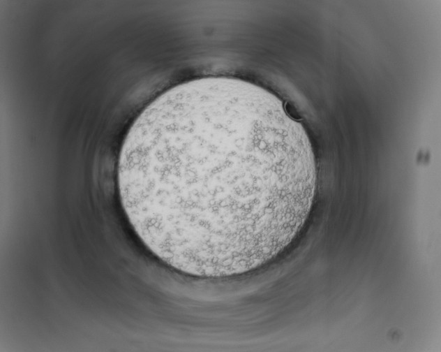 X0000101400022200808041051